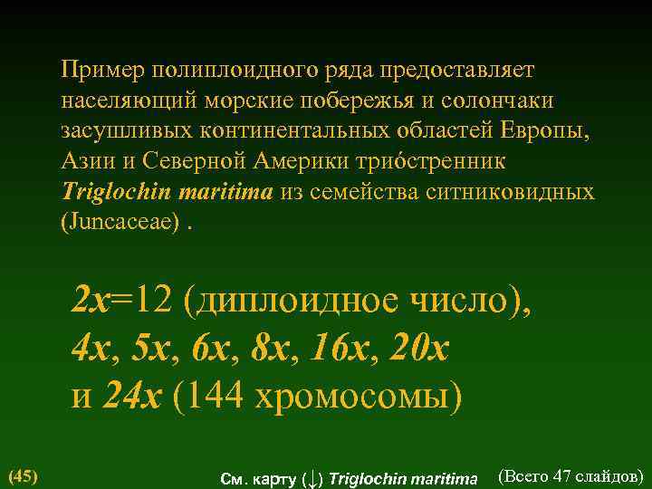 Пример полиплоидного ряда предоставляет населяющий морские побережья и солончаки засушливых континентальных областей Европы, Азии