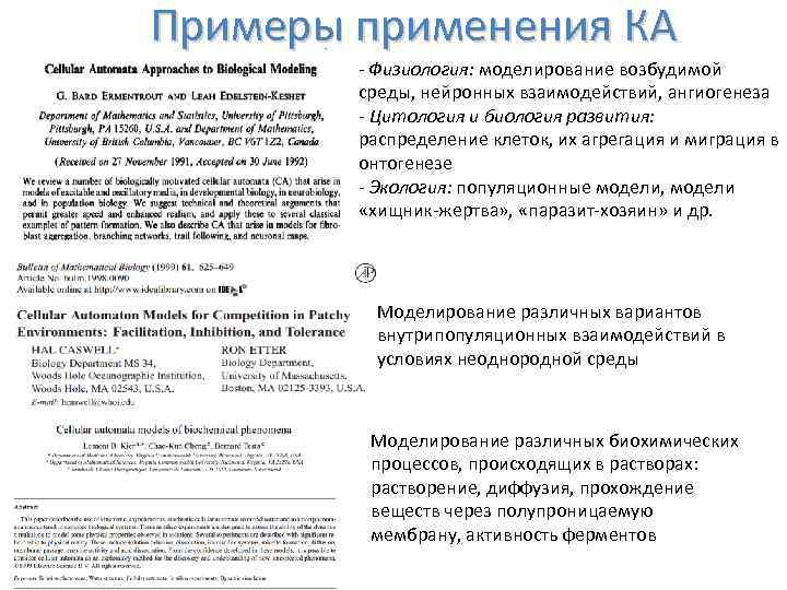 Примеры применения КА - Физиология: моделирование возбудимой среды, нейронных взаимодействий, ангиогенеза - Цитология и