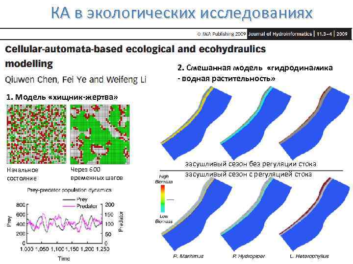 КА в экологических исследованиях 2. Смешанная модель «гидродинамика - водная растительность» 1. Модель «хищник-жертва»