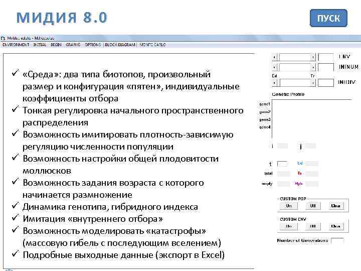 МИДИЯ 8. 0 ü «Среда» : два типа биотопов, произвольный размер и конфигурация «пятен»