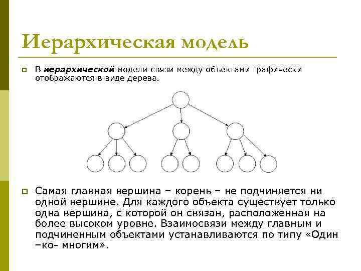 Какие из перечисленных моделей относятся к информационным рисунок дерева модель ядра