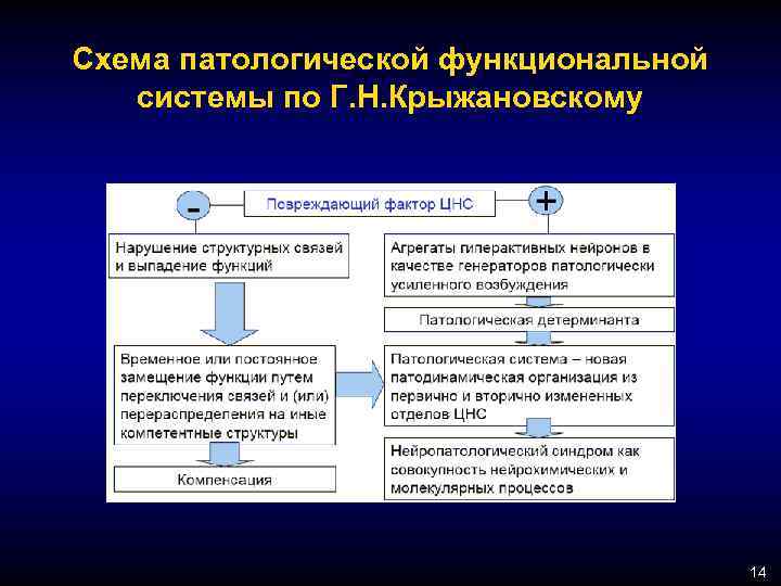 Схема патологической функциональной системы по Г. Н. Крыжановскому 14 