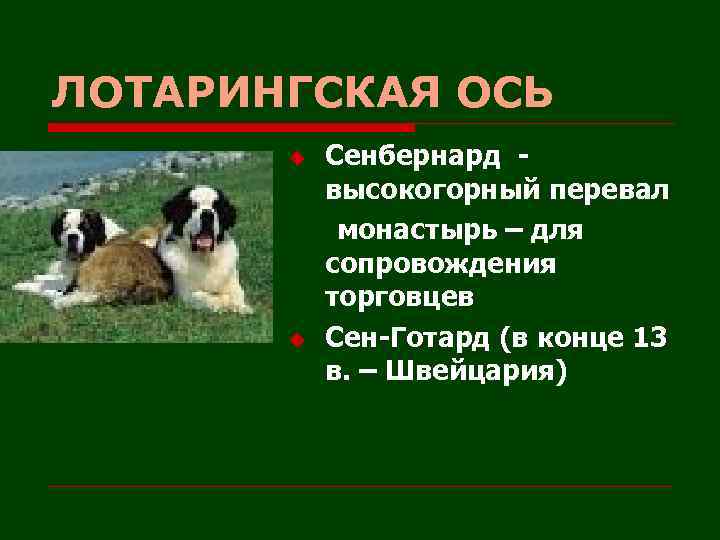ЛОТАРИНГСКАЯ ОСЬ u u Сенбернард высокогорный перевал монастырь – для сопровождения торговцев Сен-Готард (в