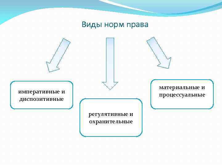 Виды норм права материальные и процессуальные императивные и диспозитивные регулятивные и охранительные 