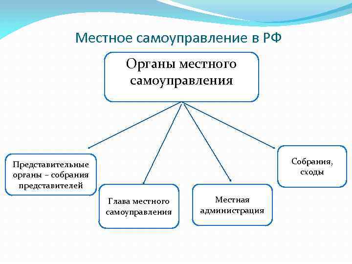 Местное самоуправление в РФ Органы местного самоуправления Собрания, сходы Представительные органы – собрания представителей