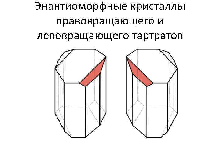 Энантиоморфные кристаллы правовращающего и левовращающего тартратов 