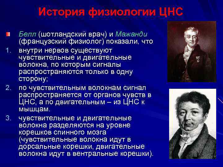 История физиологии ЦНС Белл (шотландский врач) и Мажанди (французский физиолог) показали, что 1. внутри