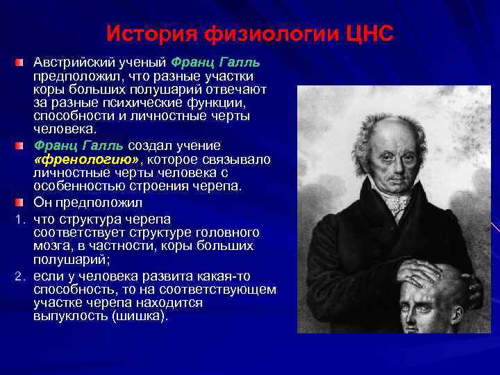 История физиологии ЦНС Австрийский ученый Франц Галль предположил, что разные участки коры больших полушарий