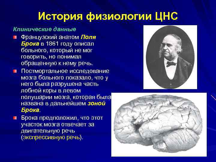 История физиологии ЦНС Клинические данные Французский анатом Поля Брока в 1861 году описал больного,