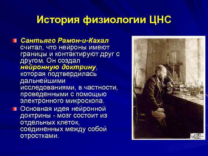 История физиологии ЦНС Сантьяго Рамон-и-Кахал считал, что нейроны имеют границы и контактируют друг с