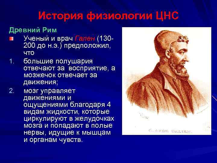 История физиологии ЦНС Древний Рим Ученый и врач Гален (130200 до н. э. )