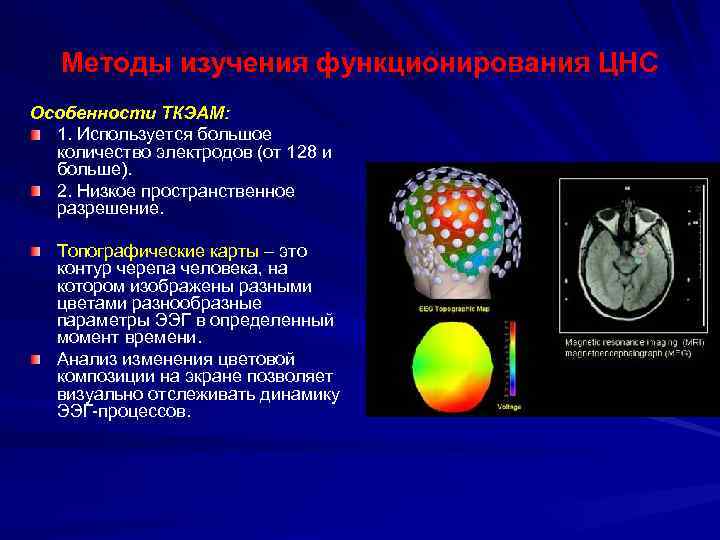 Методы изучения функционирования ЦНС Особенности ТКЭАМ: 1. Используется большое количество электродов (от 128 и