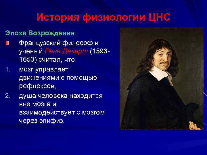 История физиологии ЦНС Эпоха Возрождения Французский философ и ученый Рене Декарт (15961650) считал, что