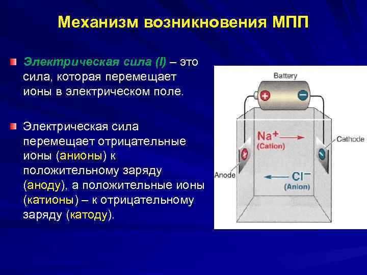 Механизм возникновения МПП Электрическая сила (I) – это сила, которая перемещает ионы в электрическом