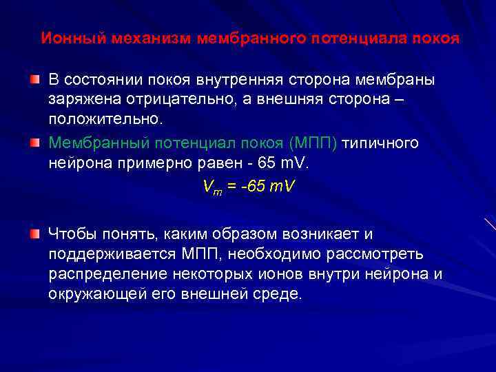 Ионный механизм мембранного потенциала покоя В состоянии покоя внутренняя сторона мембраны заряжена отрицательно, а