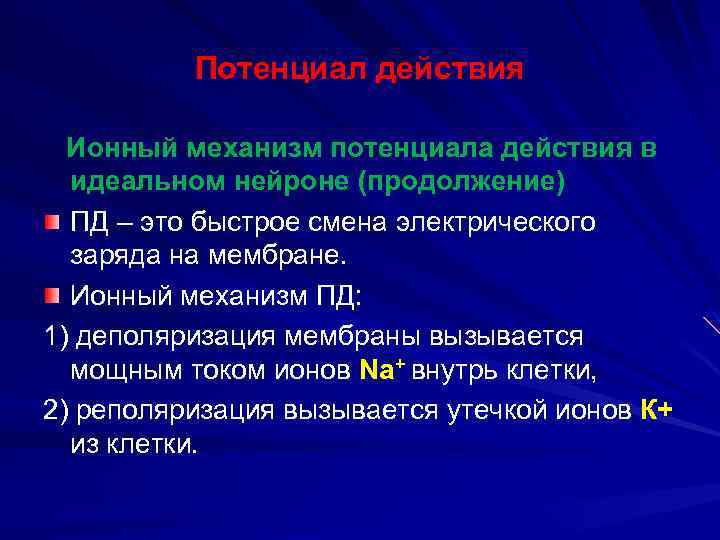 Потенциал действия Ионный механизм потенциала действия в идеальном нейроне (продолжение) ПД – это быстрое