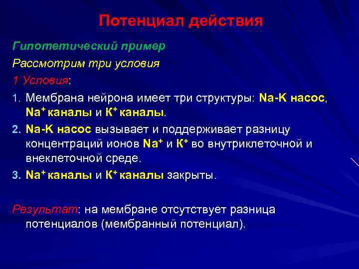Потенциал действия Гипотетический пример Рассмотрим три условия 1 Условия: 1. Мембрана нейрона имеет три