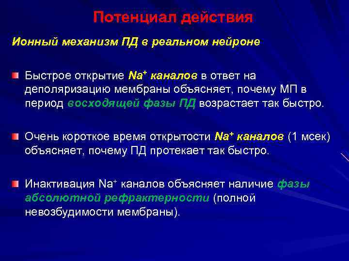 Потенциал действия Ионный механизм ПД в реальном нейроне Быстрое открытие Na+ каналов в ответ