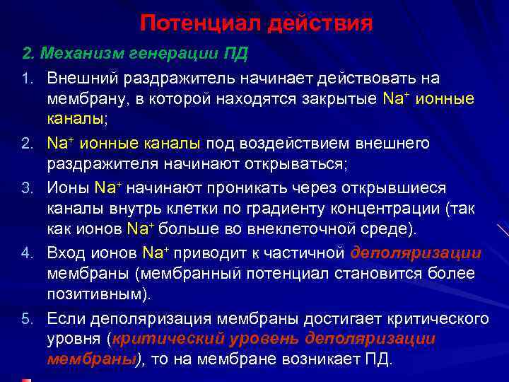 Потенциал действия 2. Механизм генерации ПД 1. Внешний раздражитель начинает действовать на мембрану, в