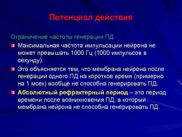 Потенциал действия Ограничение частоты генерации ПД Максимальная частота импульсации нейрона не может превышать 1000