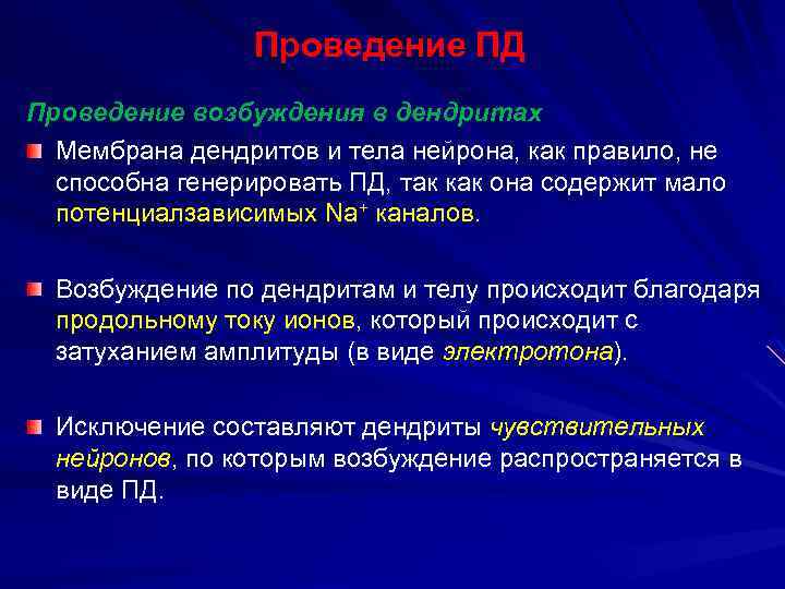 Проведение ПД Проведение возбуждения в дендритах Мембрана дендритов и тела нейрона, как правило, не