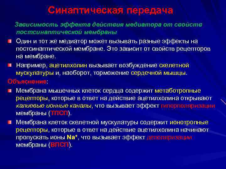 Синаптическая передача Зависимость эффекта действия медиатора от свойств постсинаптической мембраны Один и тот же