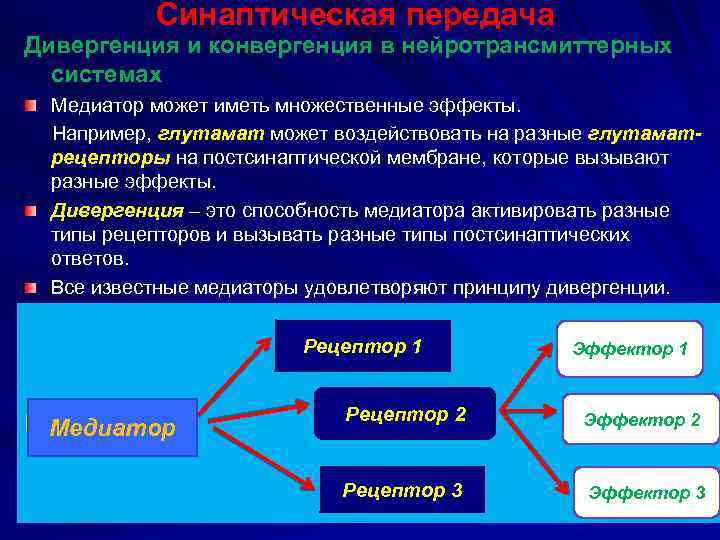 Синаптическая передача Дивергенция и конвергенция в нейротрансмиттерных системах Медиатор может иметь множественные эффекты. Например,