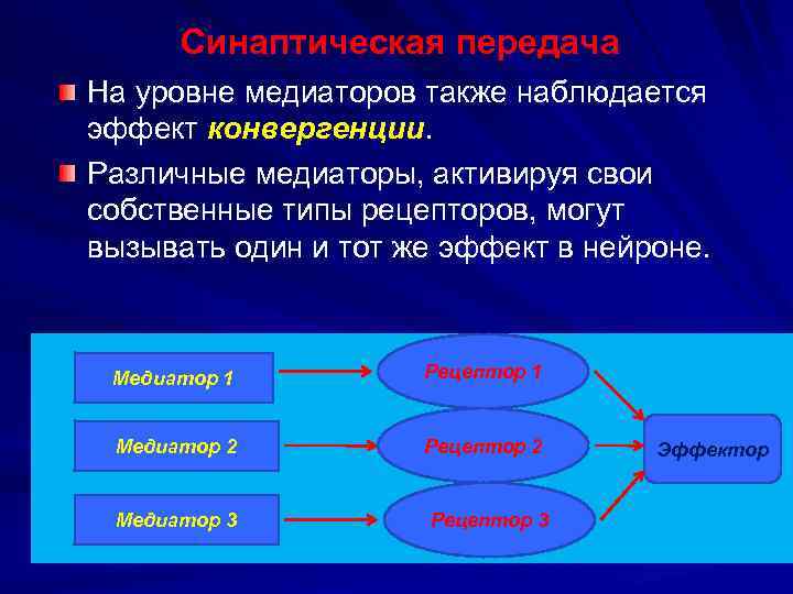 Синаптическая передача На уровне медиаторов также наблюдается эффект конвергенции. Различные медиаторы, активируя свои собственные