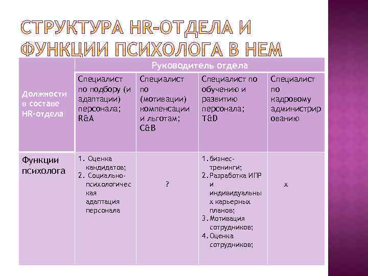 Руководитель отдела Должности в составе HR-отдела Функции психолога Специалист по подбору (и адаптации) персонала;