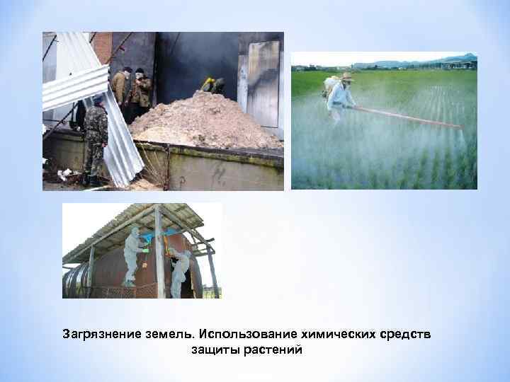 Загрязнение земель. Использование химических средств защиты растений 
