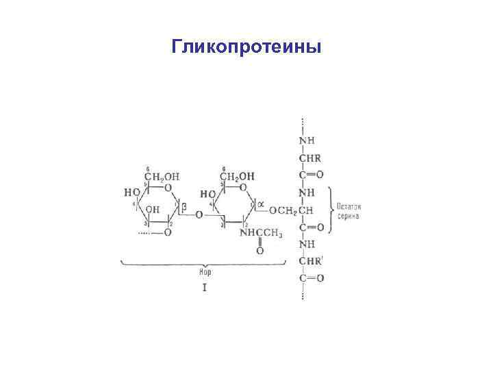 Гликопротеины 