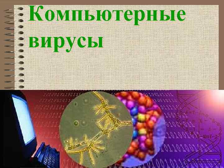 Компьютерные вирусы 