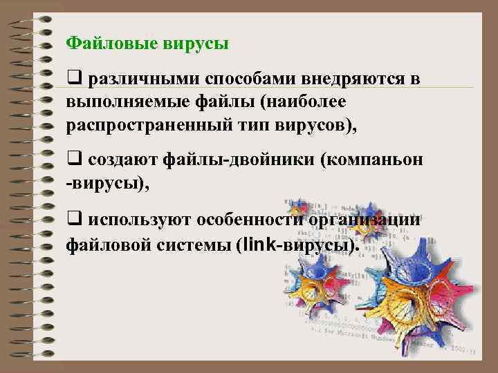 Файловые вирусы q различными способами внедряются в выполняемые файлы (наиболее распространенный тип вирусов), q