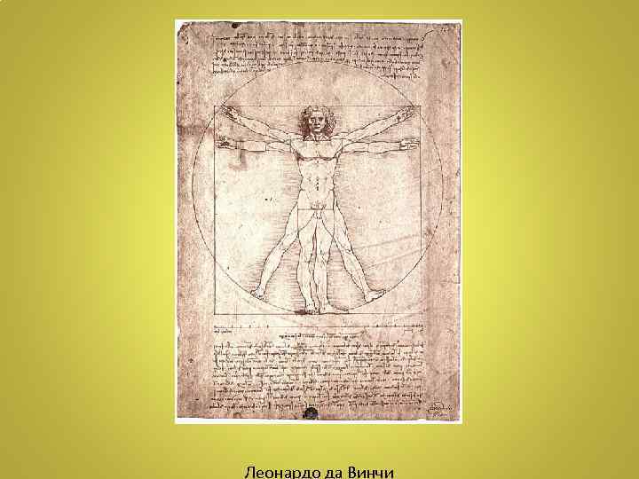 Леонардо да Винчи 