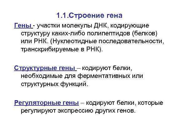 1. 1. Строение гена Гены - участки молекулы ДНК, кодирующие структуру каких-либо полипептидов (белков)