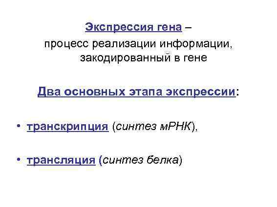 Экспрессия гена – процесс реализации информации, закодированный в гене Два основных этапа экспрессии: •