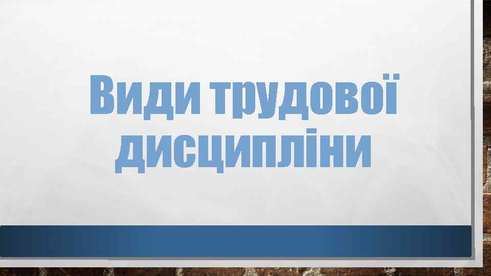Види трудової дисципліни 