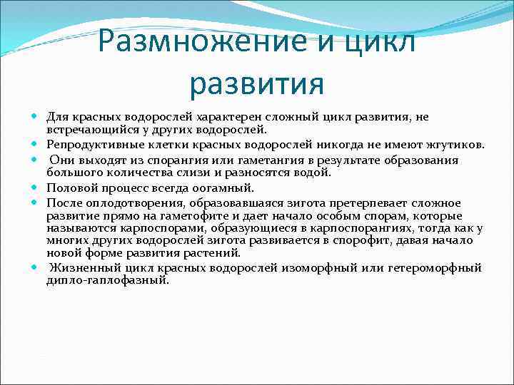 Размножение и цикл развития Для красных водорослей характерен сложный цикл развития, не встречающийся у