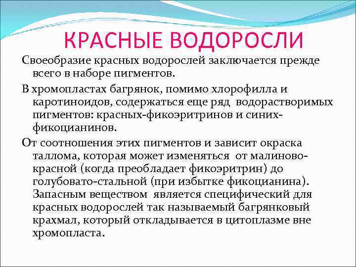 КРАСНЫЕ ВОДОРОСЛИ Своеобразие красных водорослей заключается прежде всего в наборе пигментов. В хромопластах багрянок,