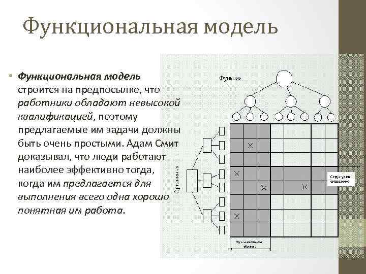 Функциональная модель • Функциональная модель строится на предпосылке, что работники обладают невысокой квалификацией, поэтому