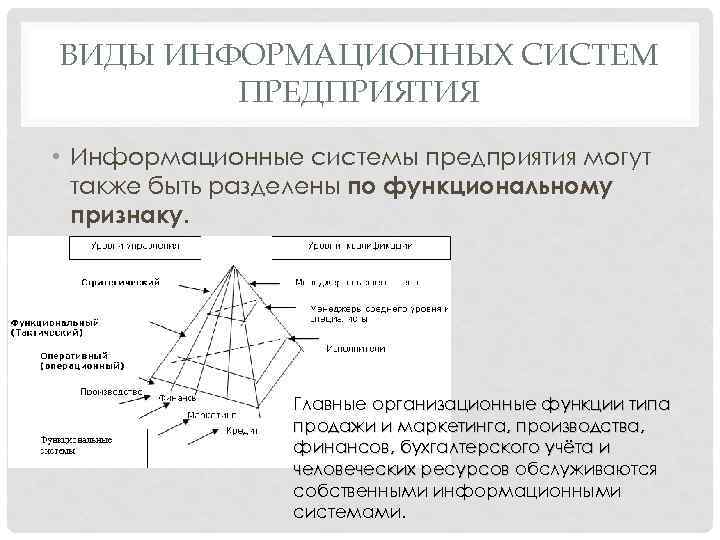 ВИДЫ ИНФОРМАЦИОННЫХ СИСТЕМ ПРЕДПРИЯТИЯ • Информационные системы предприятия могут также быть разделены по функциональному