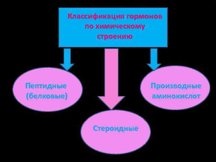 Классификация гормонов по химическому строению Пептидные (белковые) Производные аминокислот Стероидные 