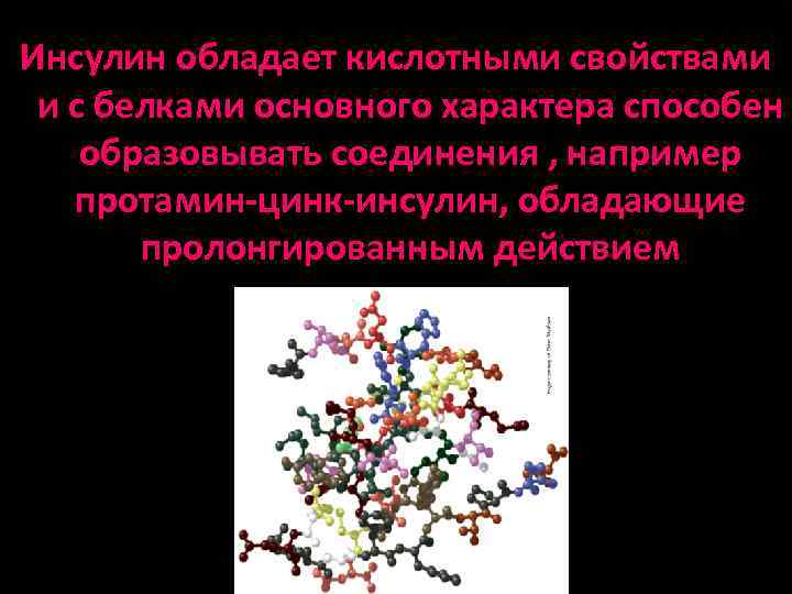 Инсулин обладает кислотными свойствами и с белками основного характера способен образовывать соединения , например