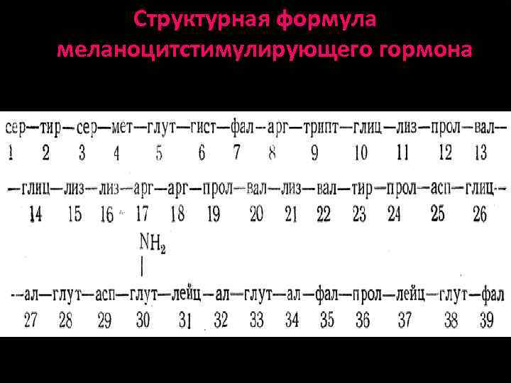 Структурная формула меланоцитстимулирующего гормона 