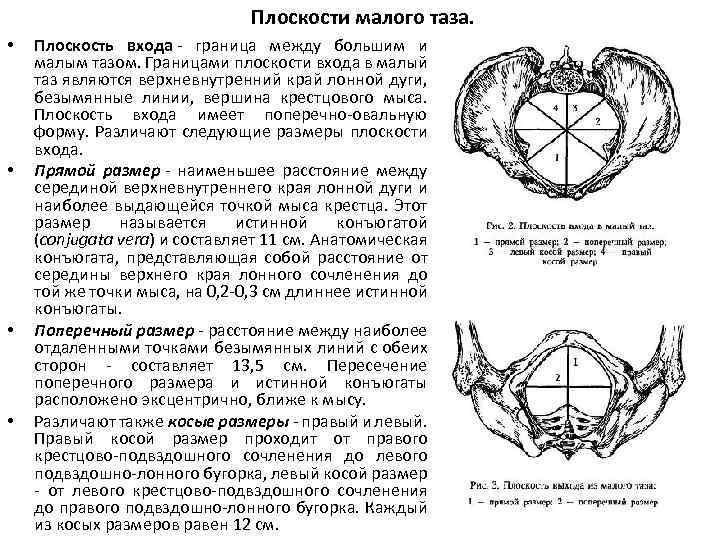 Истинная конъюгата. Поперечный размер входа в малый таз. Размеры плоскости входа в малый таз. Плоскости широкой части малого таза в акушерстве. Прямой размер входа в малый таз.