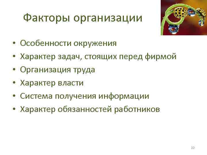 Факторы организации • • • Особенности окружения Характер задач, стоящих перед фирмой Организация труда