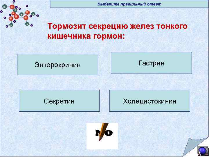 Замедляет сокращение стенок кишечника тормозит секрецию желудочного сока