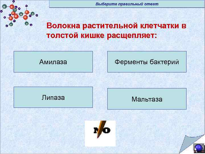 Волокна растительной клетчатки в толстой кишке расщепляет: Амилаза Ферменты бактерий Липаза Мальтаза 