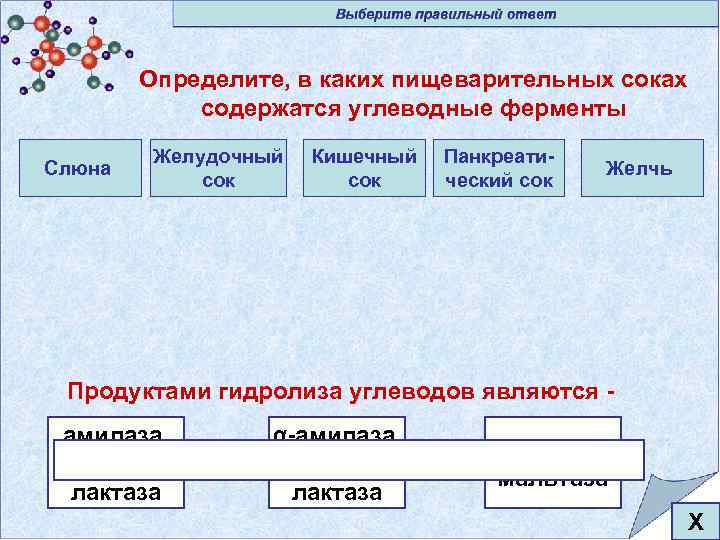 Определите, в каких пищеварительных соках содержатся углеводные ферменты Слюна Желудочный сок Кишечный сок Панкреатический