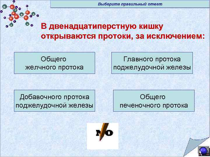 В двенадцатиперстную кишку открываются протоки, за исключением: Общего желчного протока Главного протока поджелудочной железы